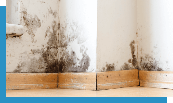 Water Damage Repair Knoxville TN